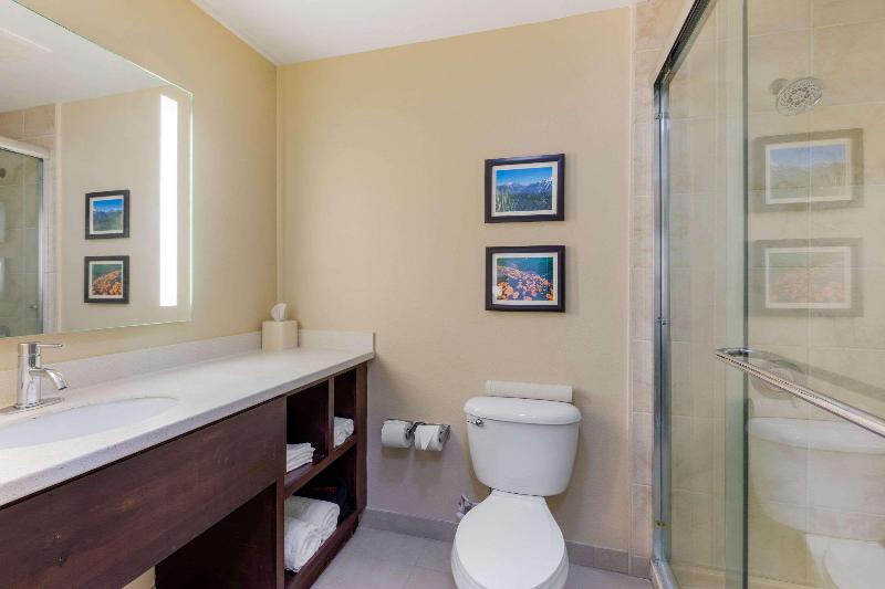 스탠다드 룸 킹사이즈 침대, Comfort Inn & Suites Near Ontario Airport
