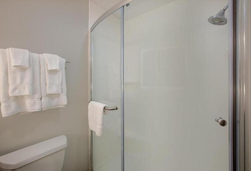 带大床的标准间, Holiday Inn Express Hotel & Suites Columbus, An Ihg