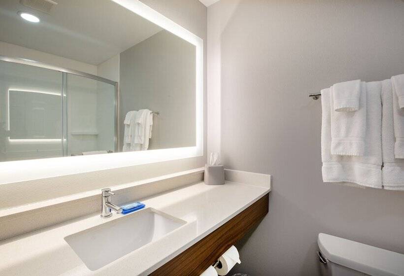 스위트, Holiday Inn Express Hotel & Suites Columbus, An Ihg