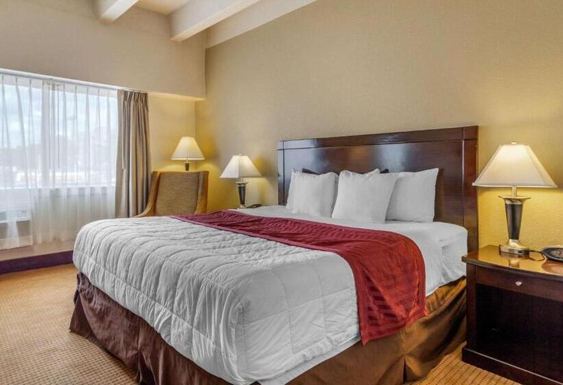 Стандартный Номер Кровать Кинг, Budget Inn Denver Downtown