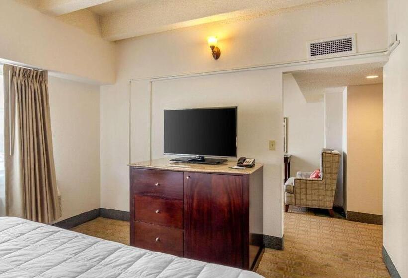 Люкс Кровать Кинг, Budget Inn Denver Downtown