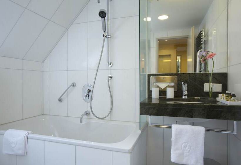 标准工作室, Appartement Hotel An Der Riemergasse