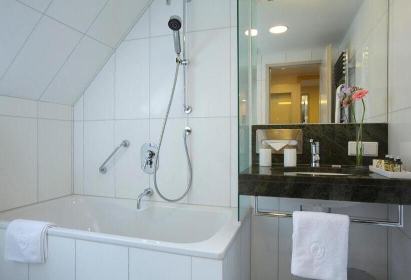 标准工作室, Appartement Hotel An Der Riemergasse