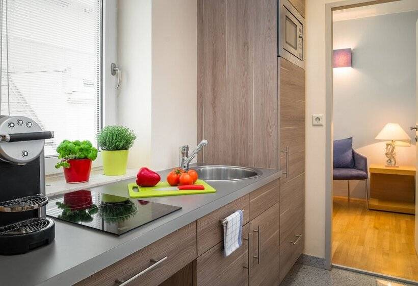 家庭工作室, Appartement Hotel An Der Riemergasse