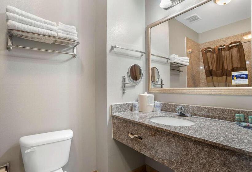 스탠다드 룸, Best Western Wakulla Inn & Suites