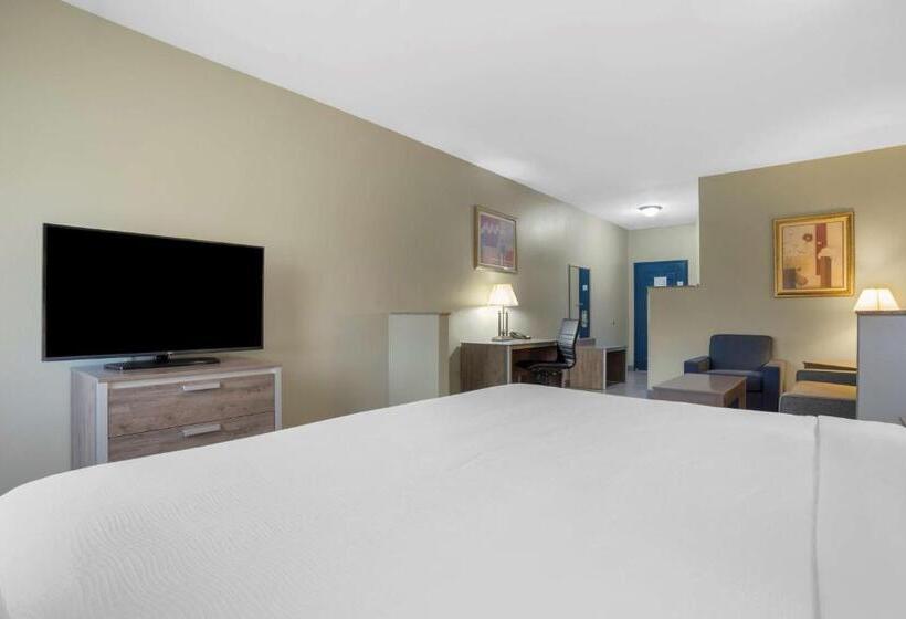 스탠다드 룸 킹사이즈 침대, Best Western Wakulla Inn & Suites