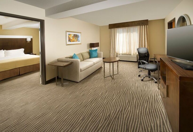 스탠다드 룸, Holiday Inn El Paso Airport, An Ihg