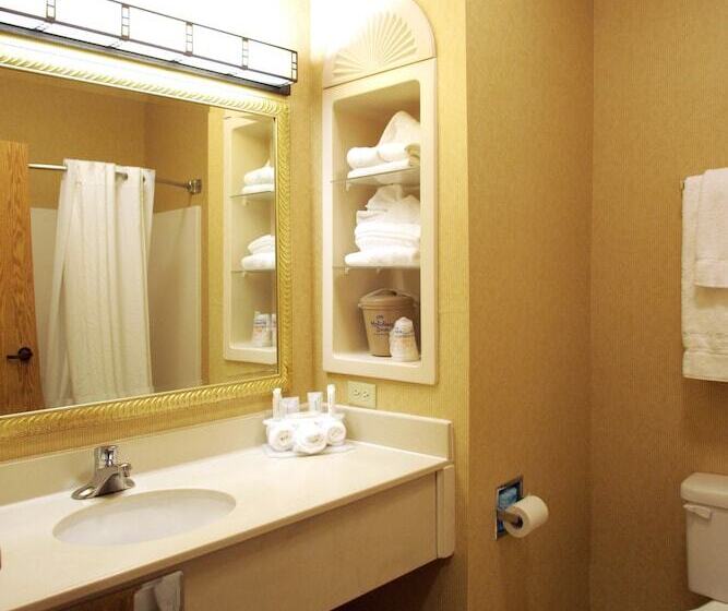 Номер Стандарт, Holiday Inn Express Hotel & Suites Gillette, An Ihg