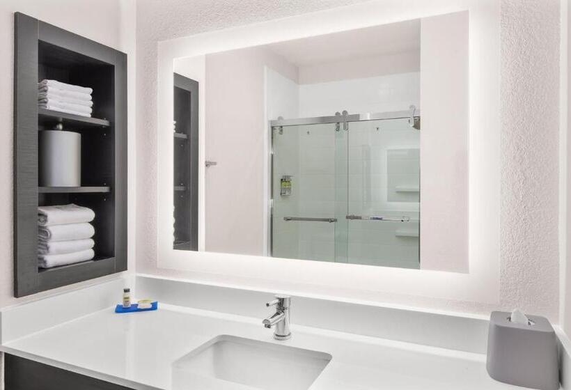 스탠다드 룸 킹사이즈 침대, Holiday Inn Express Hotel & Suites Greenville I 85 & Woodruff Road, An Ihg