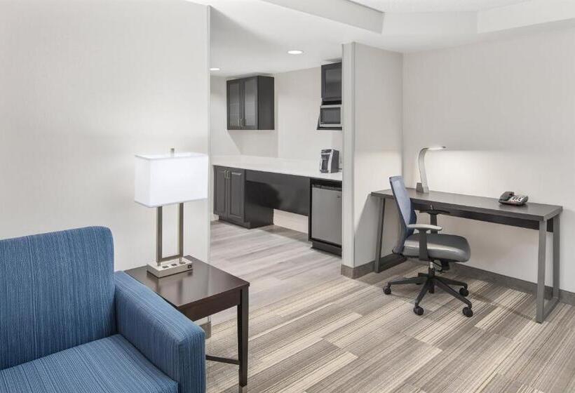 2 베드룸 이그제큐티브 스위트, Holiday Inn Express Hotel & Suites Greenville I 85 & Woodruff Road, An Ihg