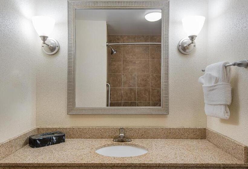 Номер Стандарт Кровать Кинг Адаптированный для Инвалидов, Holiday Inn Express And Suites Lafayette East, An Ihg