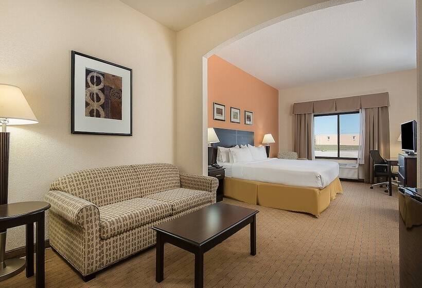 Люкс Адаптированный для Инвалидов, Holiday Inn Express And Suites Lafayette East, An Ihg