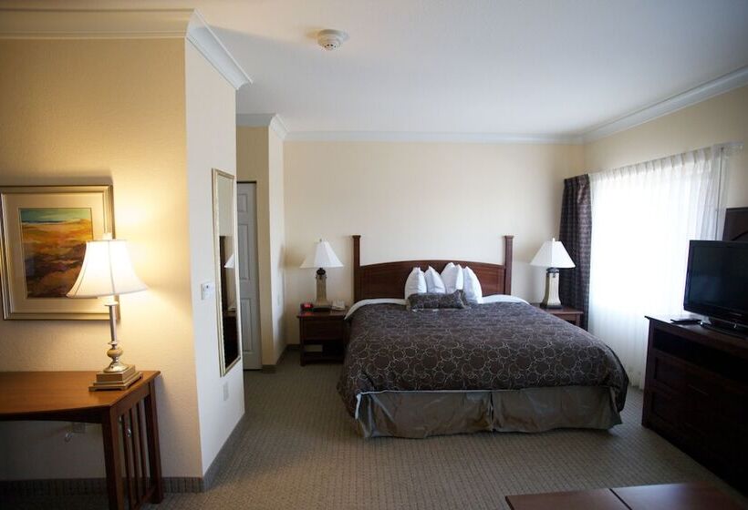 标准工作室, Staybridge Suites San Antonio Sea World, An Ihg