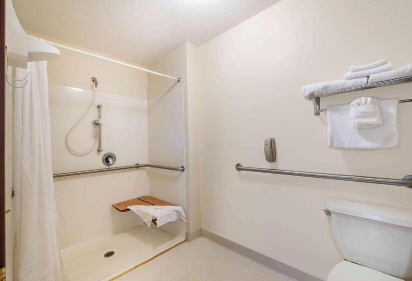 Стандартный Номер Кровать Кинг, Summerset Hotel And Suites Rapid City West