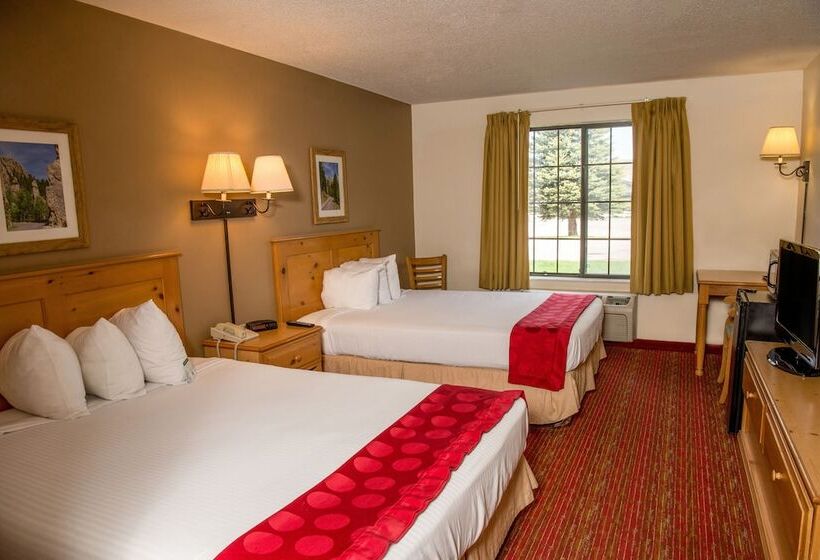 Номер Стандарт, Summerset Hotel And Suites Rapid City West