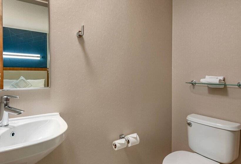 Студия Стандарт, Springhill Suites Vero Beach