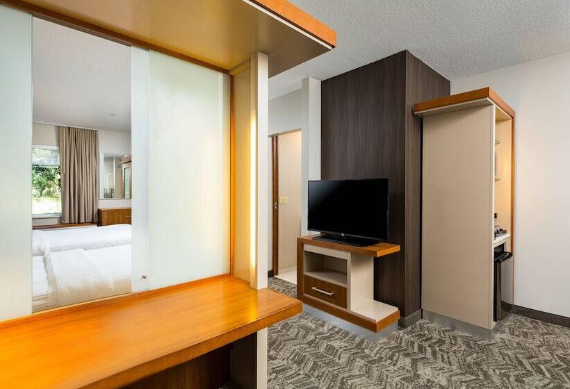 Студия Стандарт, Springhill Suites Vero Beach