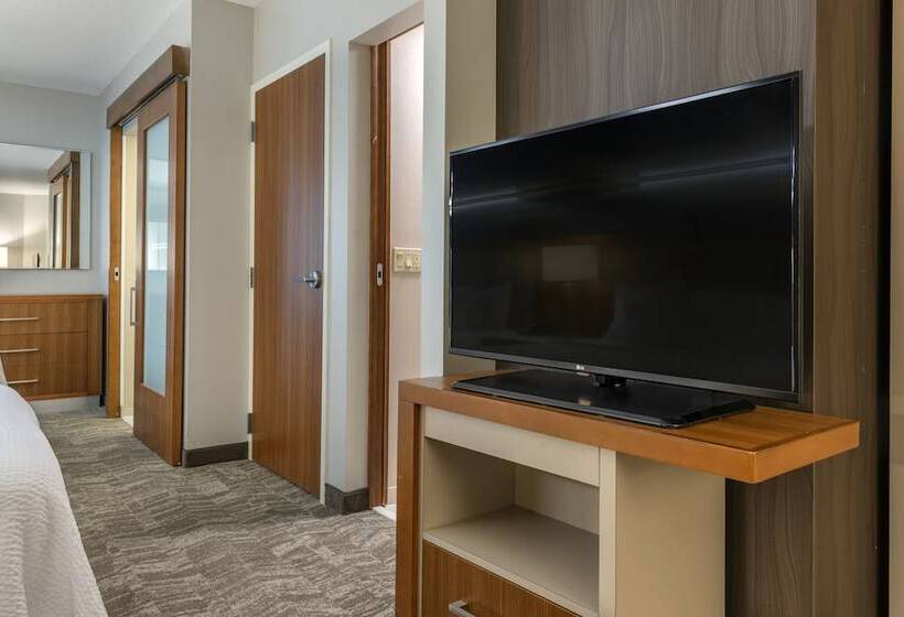 Студия Стандарт, Springhill Suites Vero Beach