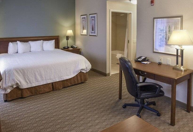 Студия Стандарт, Hampton Inn & Suites Youngstown Canfield
