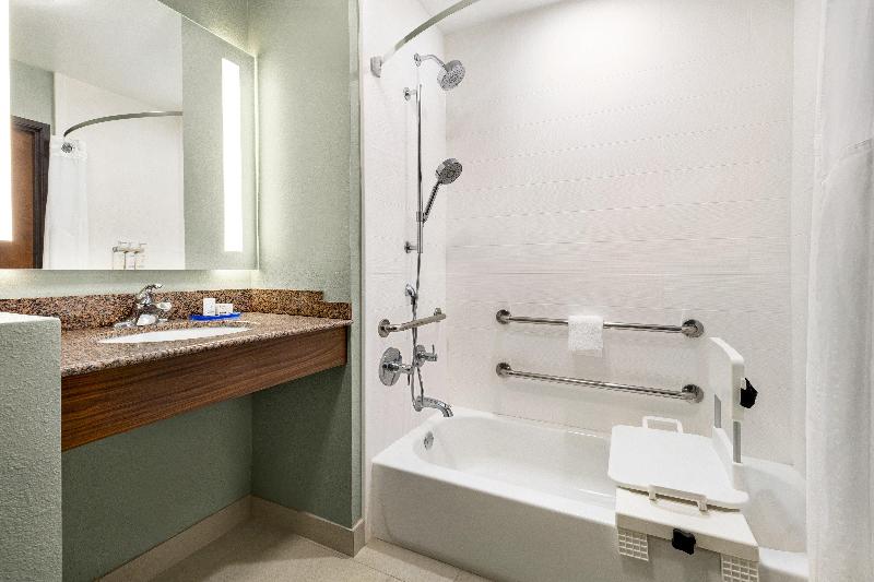 Номер Стандарт Кровать Кинг Адаптированный для Инвалидов, Holiday Inn Express Hotel & Suites Waycross By Ihg
