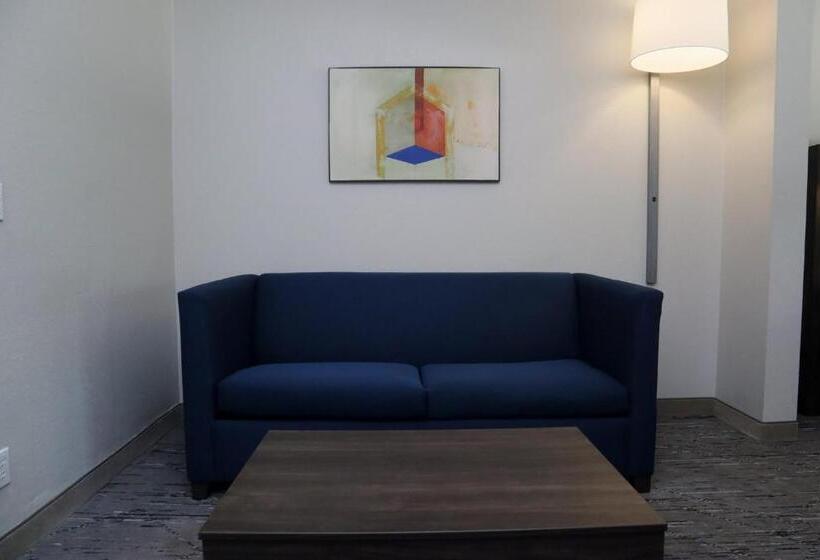 Люкс Кровать Кинг, Holiday Inn Express Baton Rouge North, An Ihg