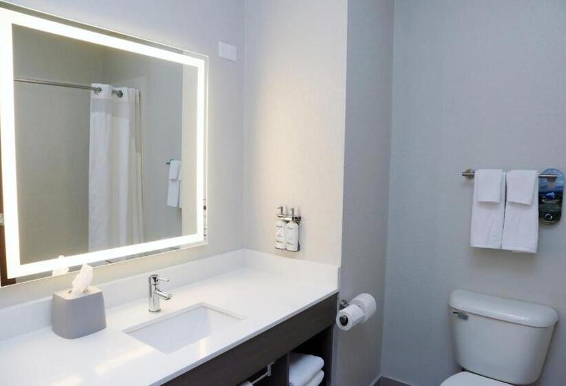 Стандартный Номер Кровать Кинг, Holiday Inn Express Baton Rouge North, An Ihg