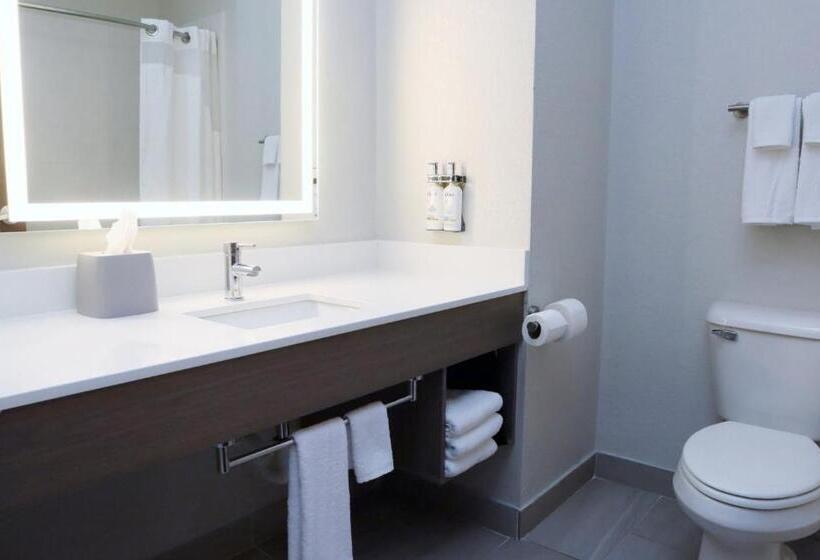 Номер Стандарт Кровать Кинг Адаптированный для Инвалидов, Holiday Inn Express Baton Rouge North, An Ihg