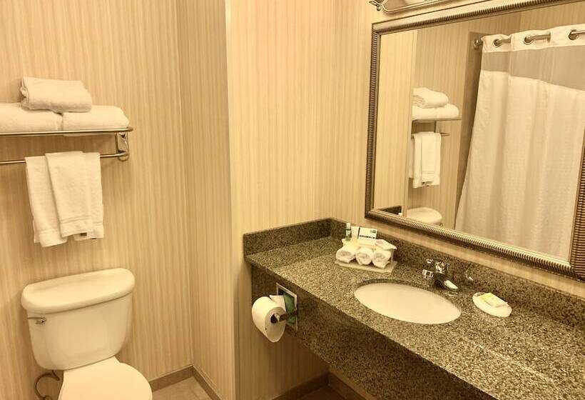 Люкс Адаптированный для Инвалидов, Holiday Inn Express & Suites Dewitt   Syracuse, An Ihg