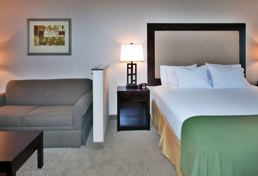 Люкс Адаптированный для Инвалидов, Holiday Inn Express & Suites Dewitt   Syracuse, An Ihg