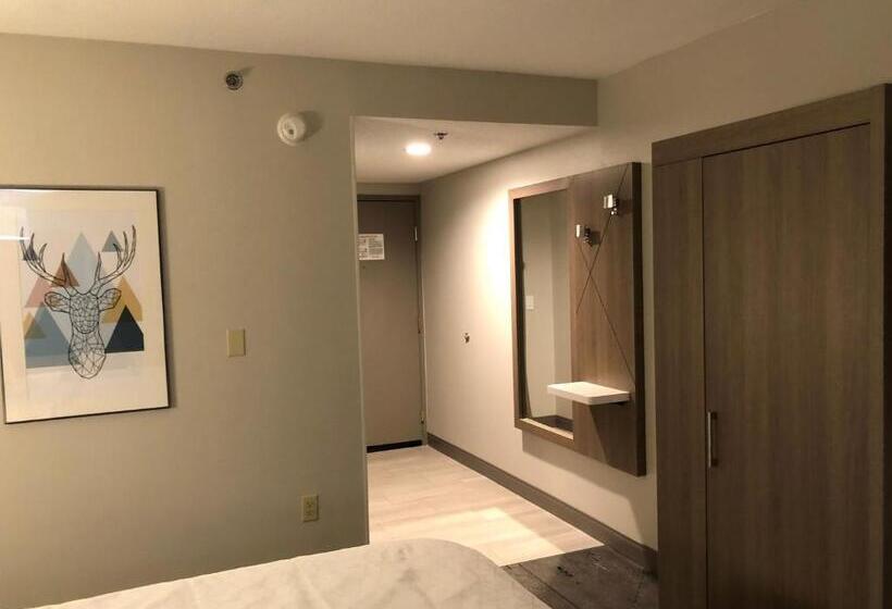 带大床的标准间, Holiday Inn Express & Suites Donegal, An Ihg