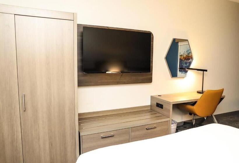套房, Holiday Inn Express & Suites Donegal, An Ihg