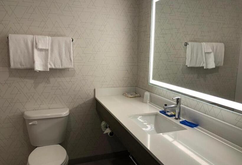 行政套房, Holiday Inn Express & Suites Donegal, An Ihg