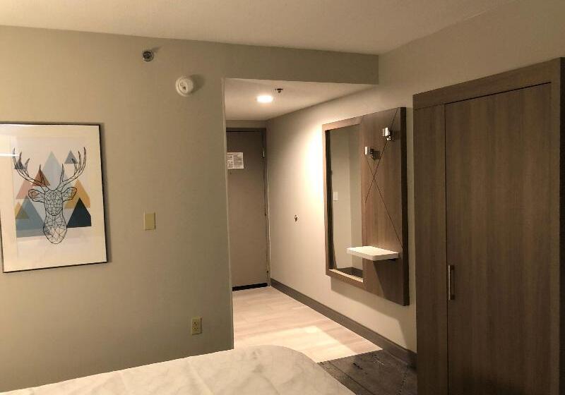 带大床的标准间, Holiday Inn Express & Suites Donegal, An Ihg