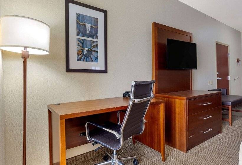 Люкс, Comfort Suites Gainesville