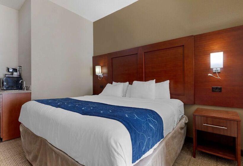Люкс, Comfort Suites Gainesville