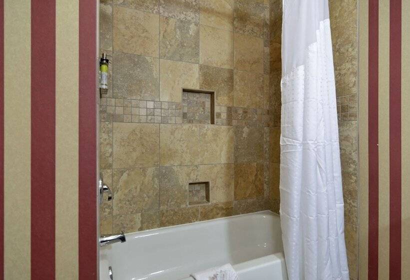 Люкс, Holiday Inn Express Hotel & Suites Dfw West   Hurst, An Ihg