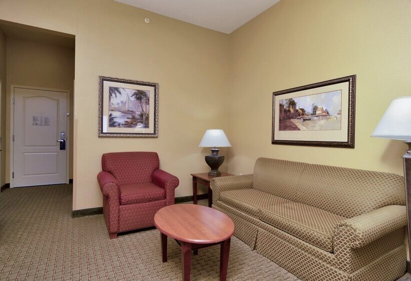 Люкс Адаптированный для Инвалидов, Holiday Inn Express Hotel & Suites Dfw West   Hurst, An Ihg