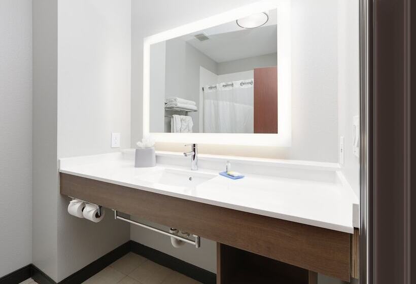 Люкс, Holiday Inn Express & Suites   Denton North, An Ihg