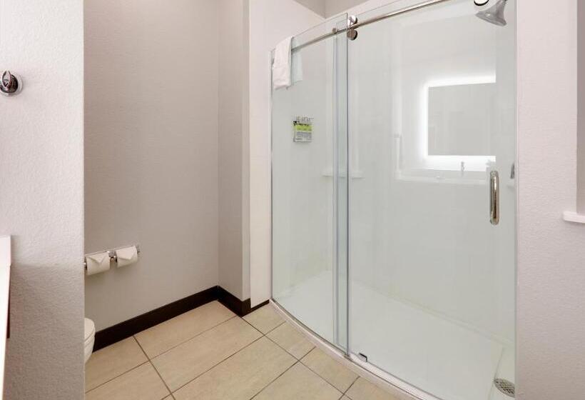 Стандартный Номер Кровать Кинг, Holiday Inn Express & Suites   Denton North, An Ihg