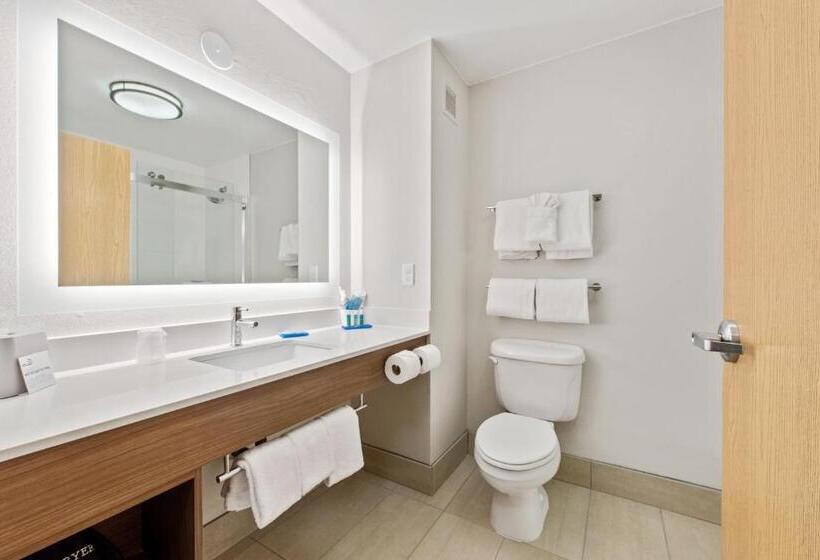 스위트 킹사이즈 침대, Holiday Inn Express West Valley City, An Ihg