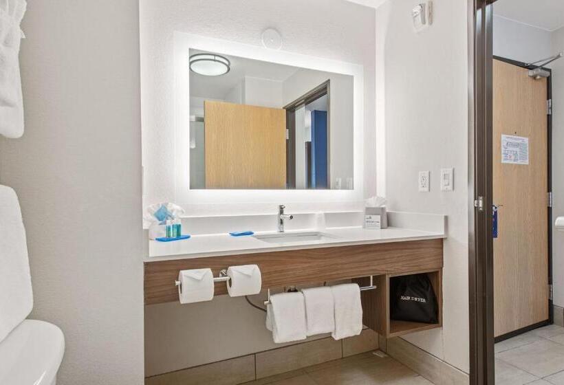 이그제큐티브 룸 킹사이즈 침대, Holiday Inn Express West Valley City, An Ihg