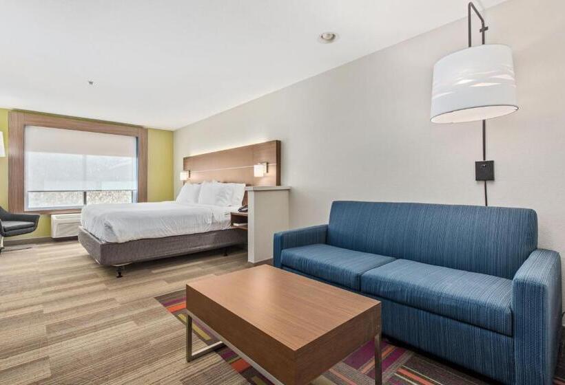 스탠다드 룸 킹사이즈 침대, Holiday Inn Express West Valley City, An Ihg