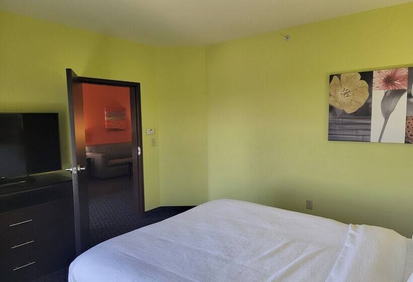 适合残疾人使用的标准间, Holiday Inn Garland, An Ihg