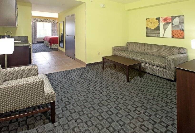 适合残疾人使用的标准间, Holiday Inn Garland, An Ihg