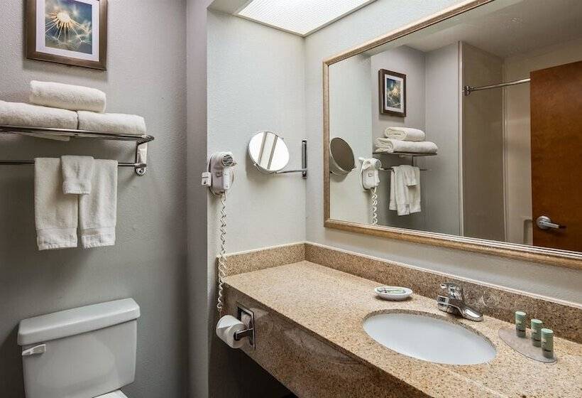 Люкс Адаптированный для Инвалидов, Best Western Executive Inn Corsicana