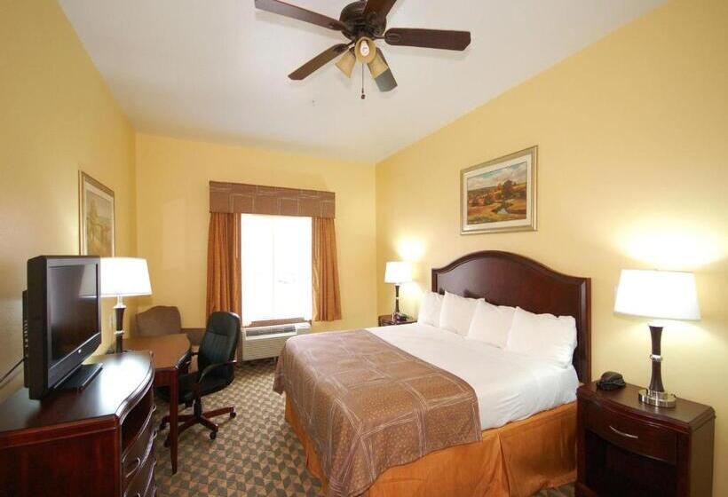 스탠다드 룸 킹사이즈 침대, Best Western Plus Manvel Inn & Suites