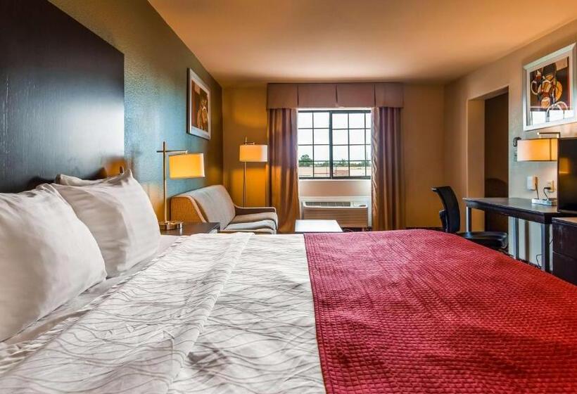 Стандартный Номер Кровать Кинг, Best Western Plus The Woodlands