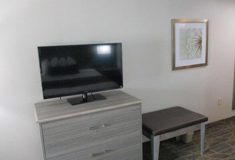 Номер Стандарт Кровать Кинг Адаптированный для Инвалидов, Best Western Presidential Hotel & Suites