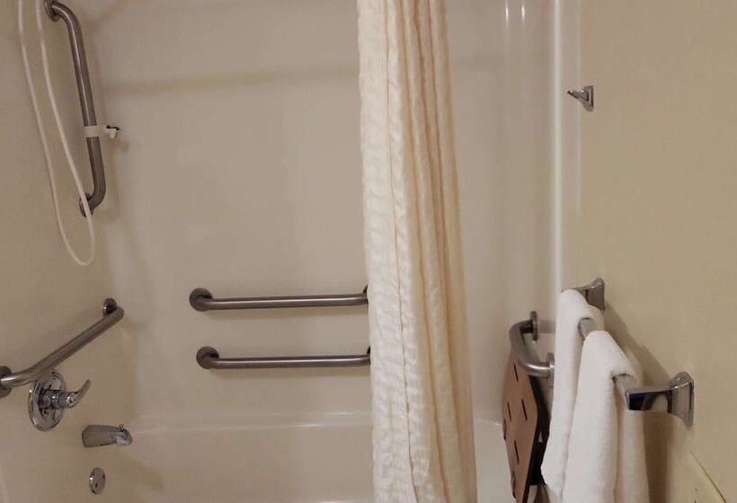 Люкс Адаптированный для Инвалидов, Best Western Wittenberg Inn