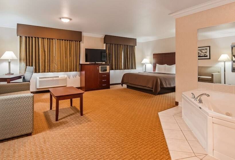 Люкс Адаптированный для Инвалидов, Best Western Wittenberg Inn